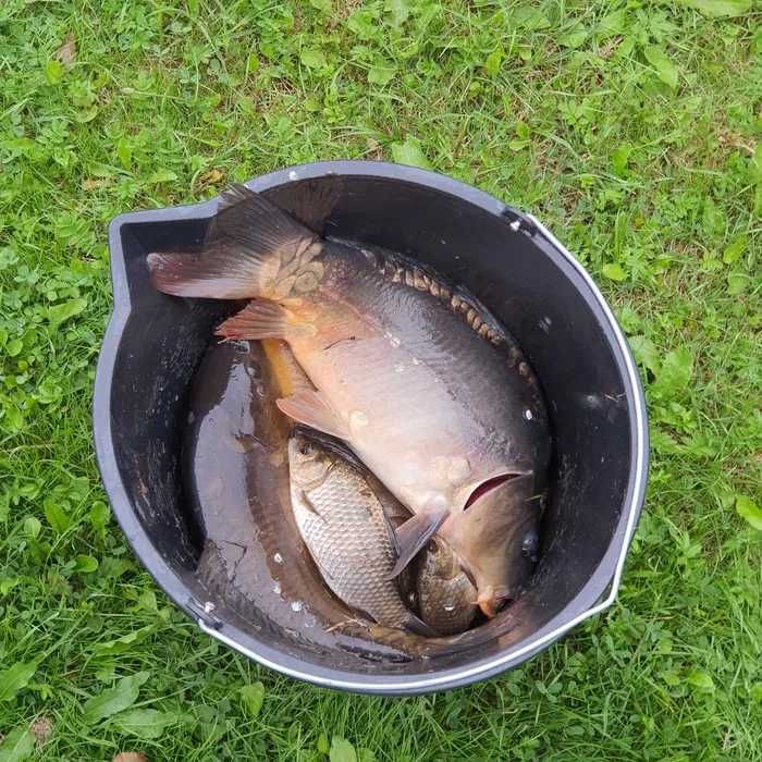 Agroturystyka "Leszyce17.pl" - noclegi, pokoje, dom do wynajęcia