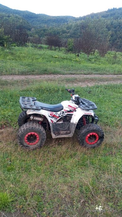 Квадроцикл forte haunter125