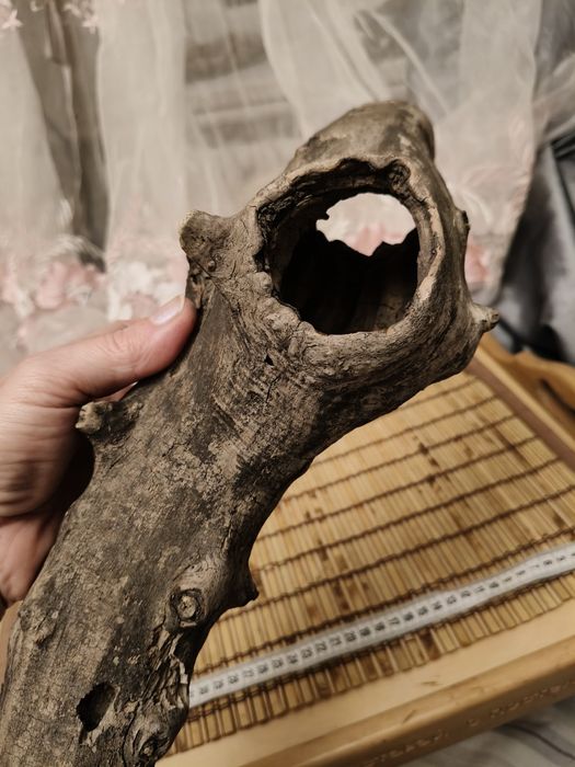 Коряга коряжка корни кореневище в аквариум террариум дизайн