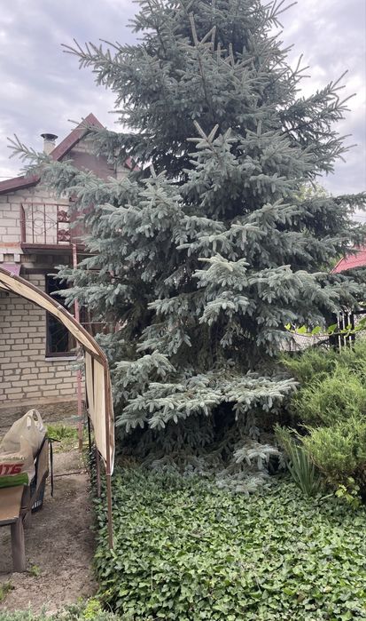 Продам дачу в Таромском