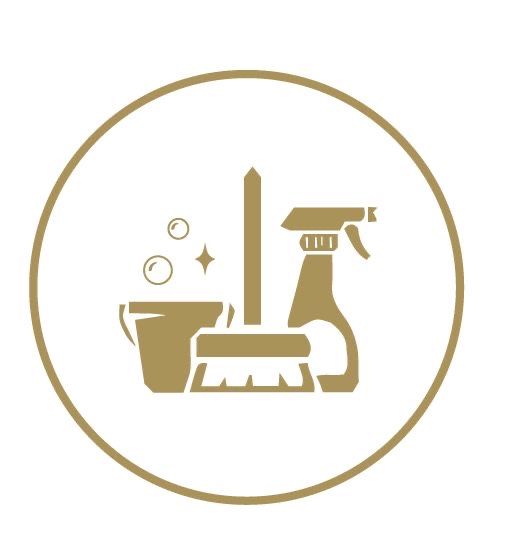 Serviços de limpeza profissional