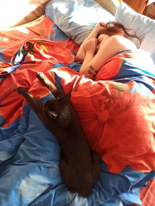 Чорненька кішечка