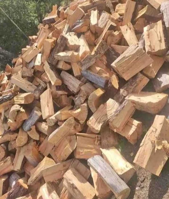 Lenha de pinho seca 35€ o metro cúbico