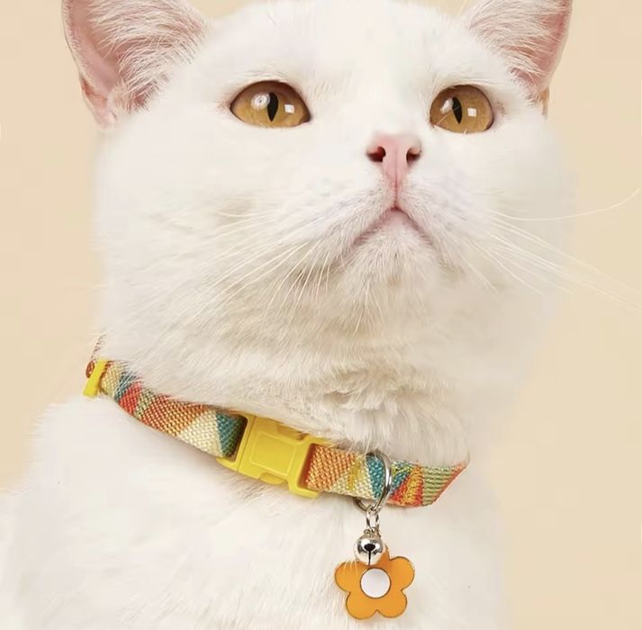Нашийник для котів