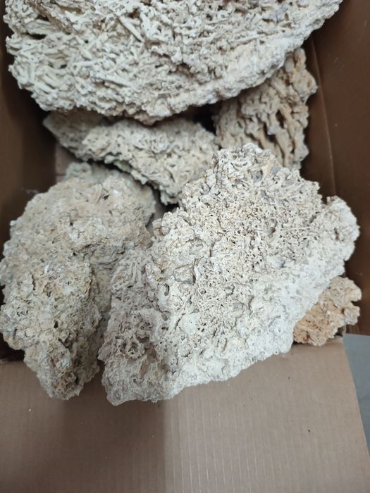 Kamień skala akwarium Malawi tanganika dekoracja