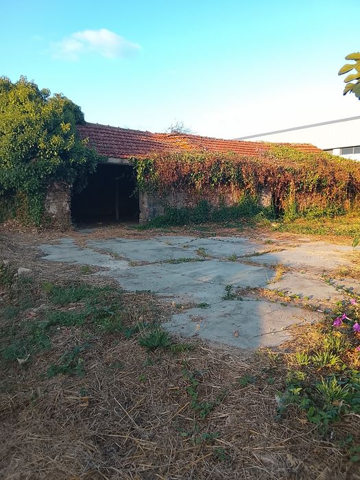 Terreno  Figueira de Lorvao
