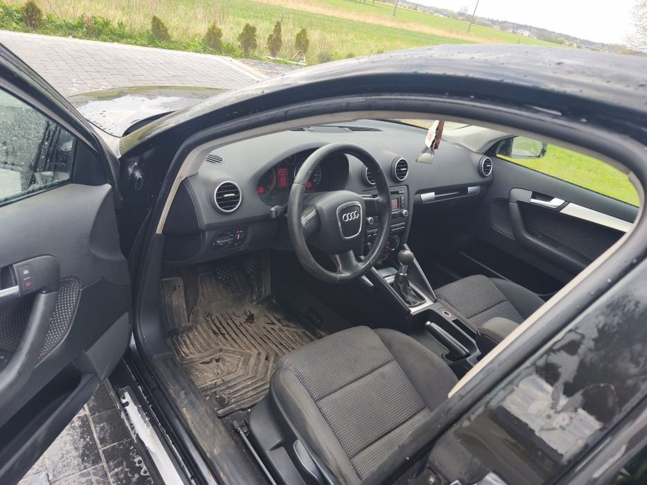 Audi A3 8P 2.0Tdi