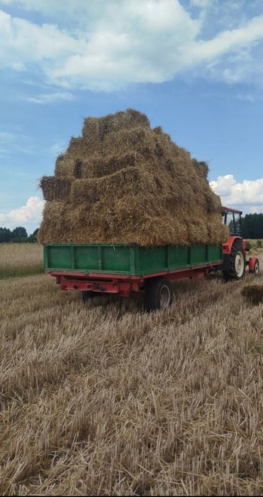 Sprzedam słome w kostkach