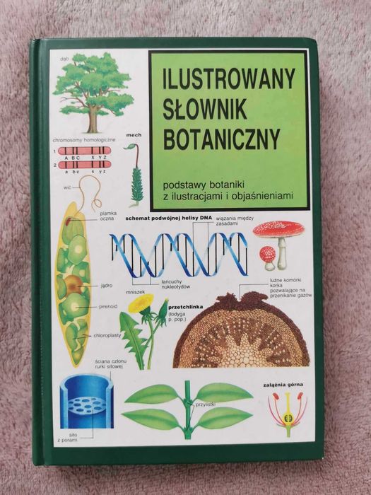 Ilustrowany Słownik Botaniczny