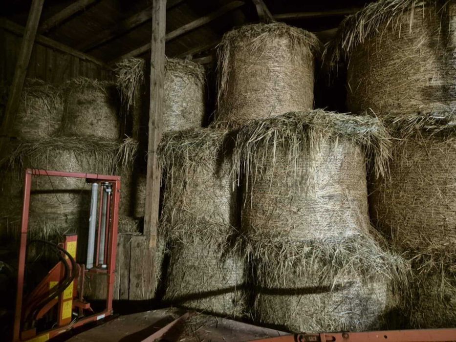 Sprzedam bele siana 120-125