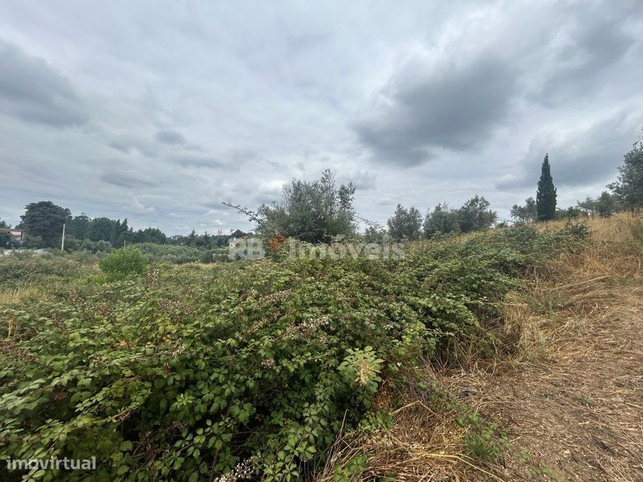 Terreno Agrícola em Chão das Maias - Tomar