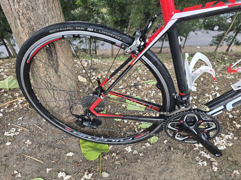 Focus cayo carbono 11x2v