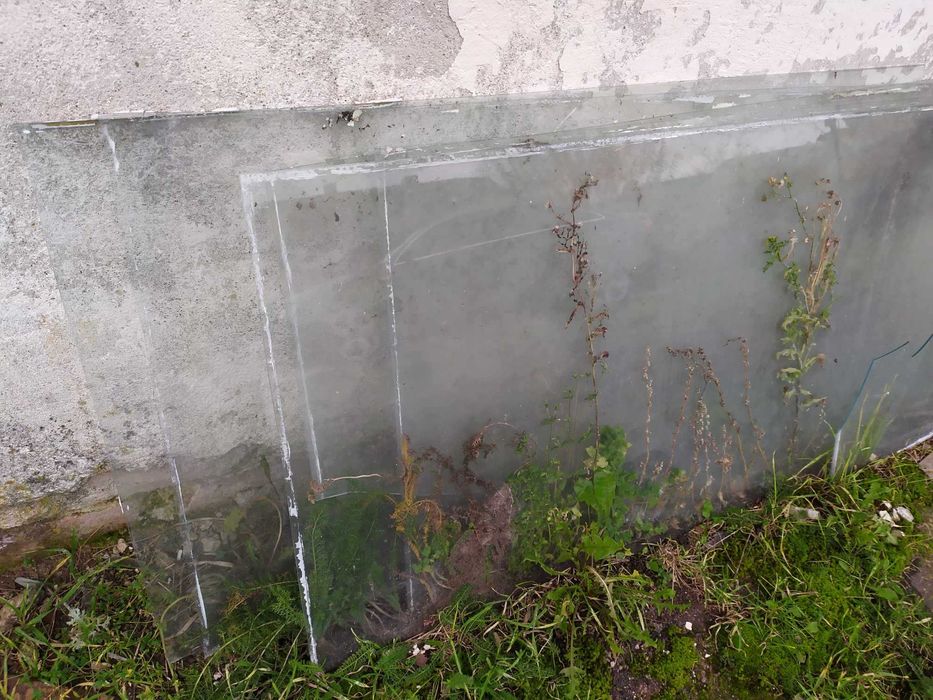 Szyby/Szkło na szklarnie 60x120/60x150 cm