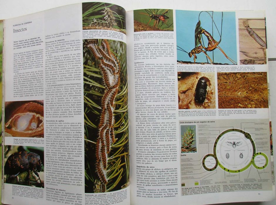 Animais da Terra - - - - - Enciclopédia