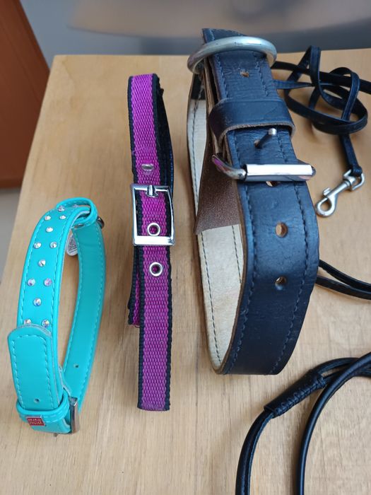 Поводок, ошейник рулетка.