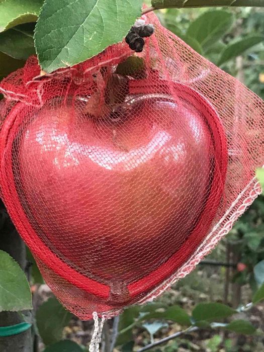 Полиэтиленовый завод