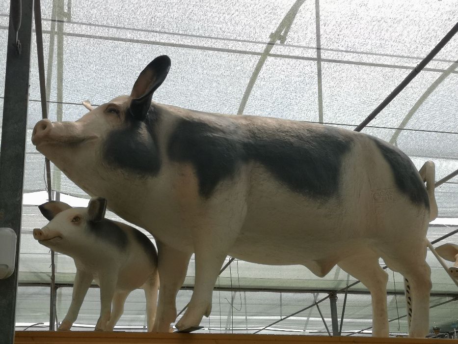 Animais / Figuras em Fibra de Vidro