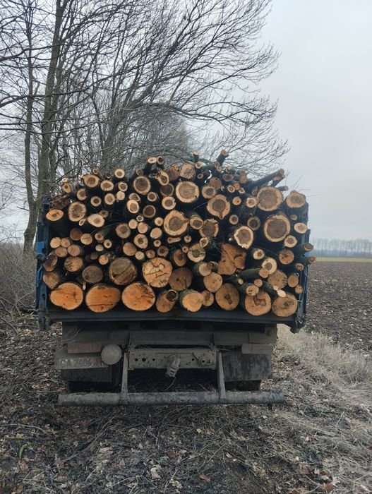 Продам дрова твёрдых/мешаных пород