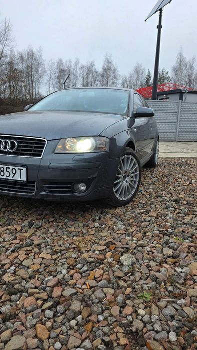 Audi A3 3-drzwiowe Audi A3 quattro