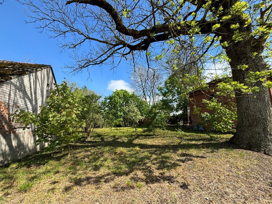 Dzialka  2500 m² z warunkami zabudowy Gonty Prabuty - Więcej