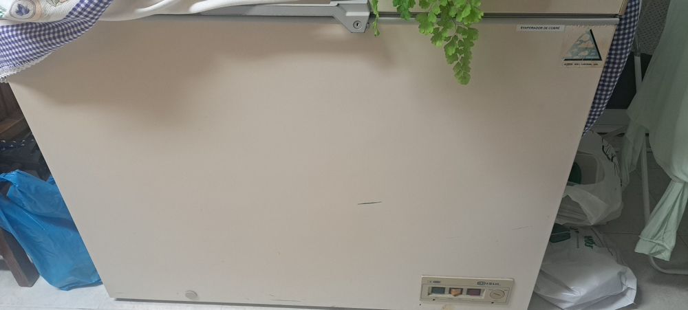 Conjunto arca e frigorífico