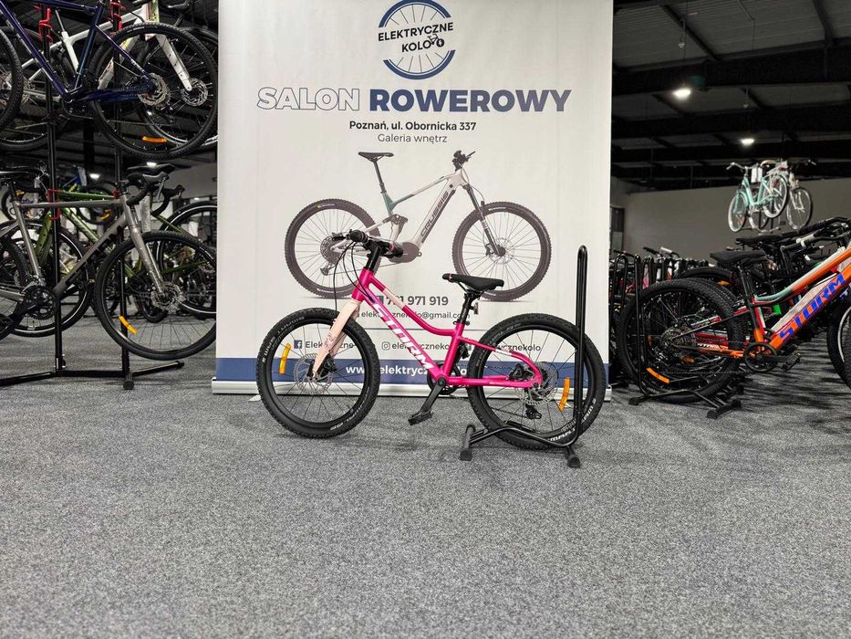 Rower dziecięcy Storm Bella 2HD Rama 10 Raty 0%