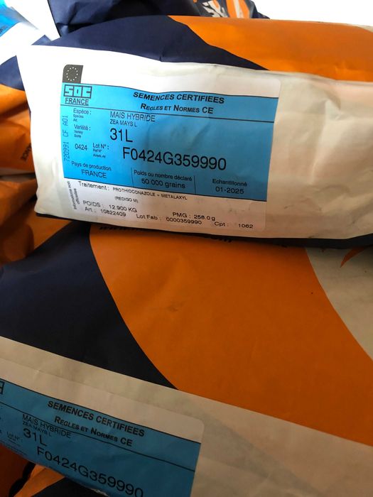 Kukurydza KWS Hypolito , Mas 31 L, ES Inventive, Citadel , DKC 3796