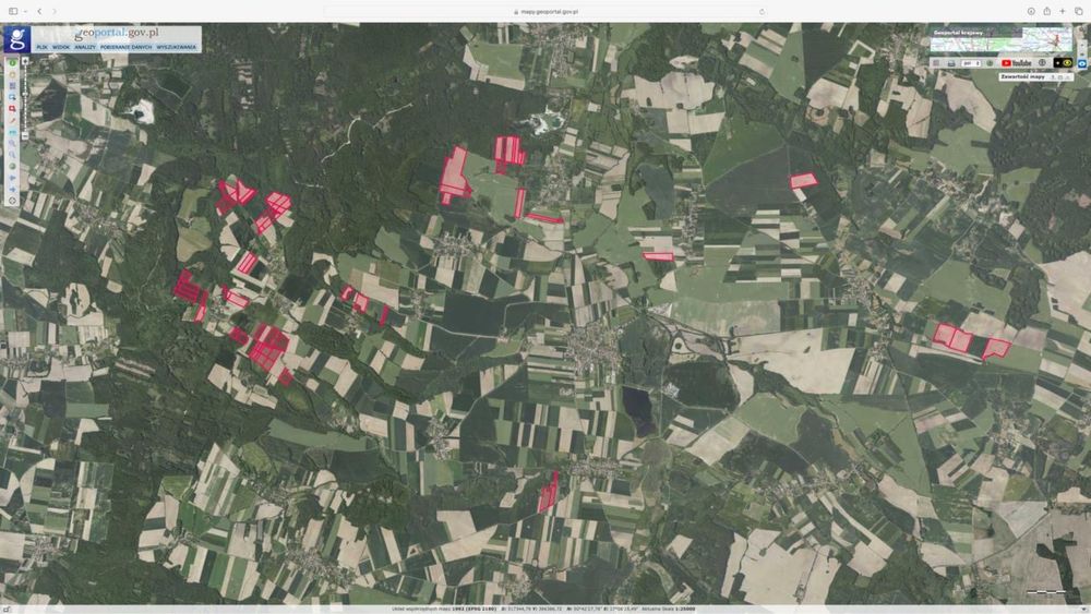 Oddam w dzierżawę 160 Hektarów