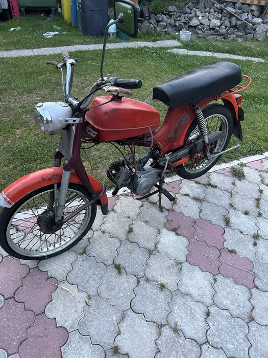 Komar (ogar) z dokumentami
