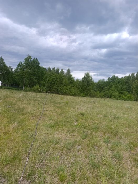 Sprzedam działkę budowlaną 800 m² - Widok 3