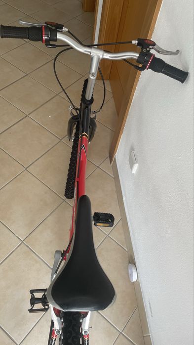 Bicicleta de Monte