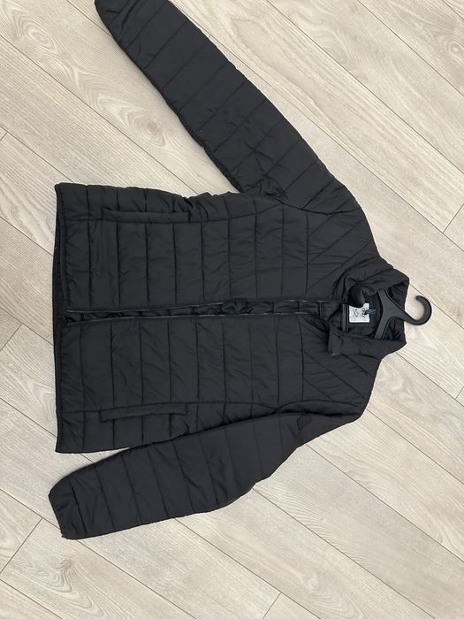 Деміснзонні курки л