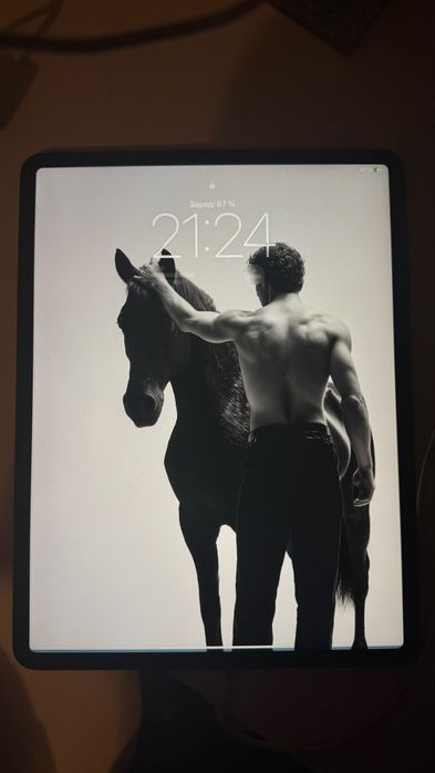 iPad pro 12.9 gen 4 256gb