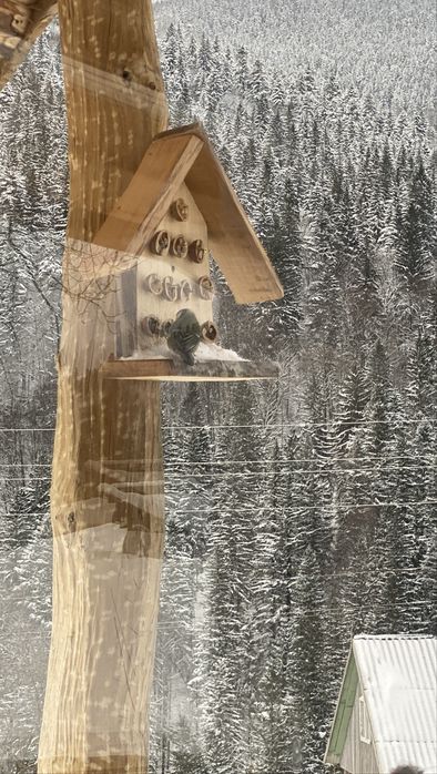 Будинок з чаном  Kosivchik