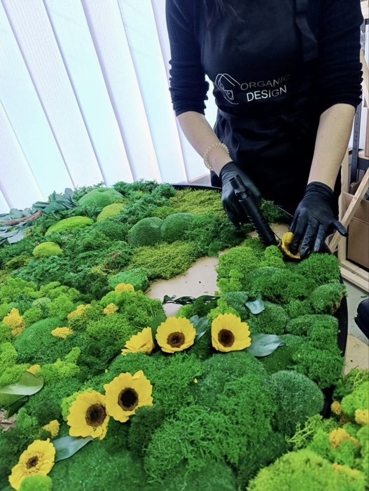 Фитопано з Моху. Панелі з Моху