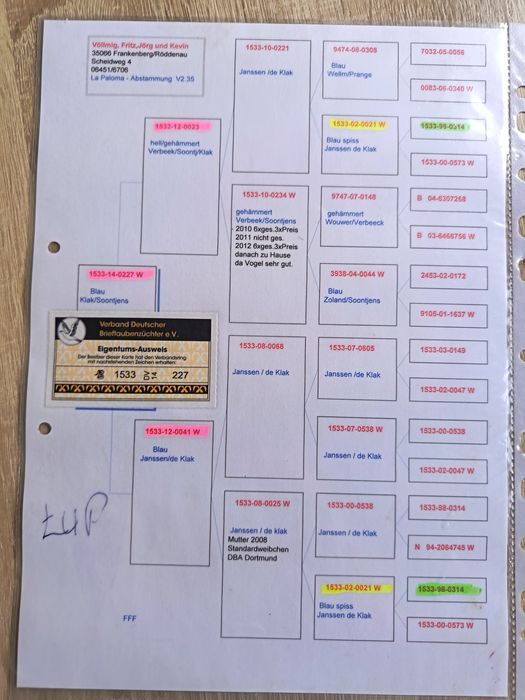 Golebie pocztowe w linii