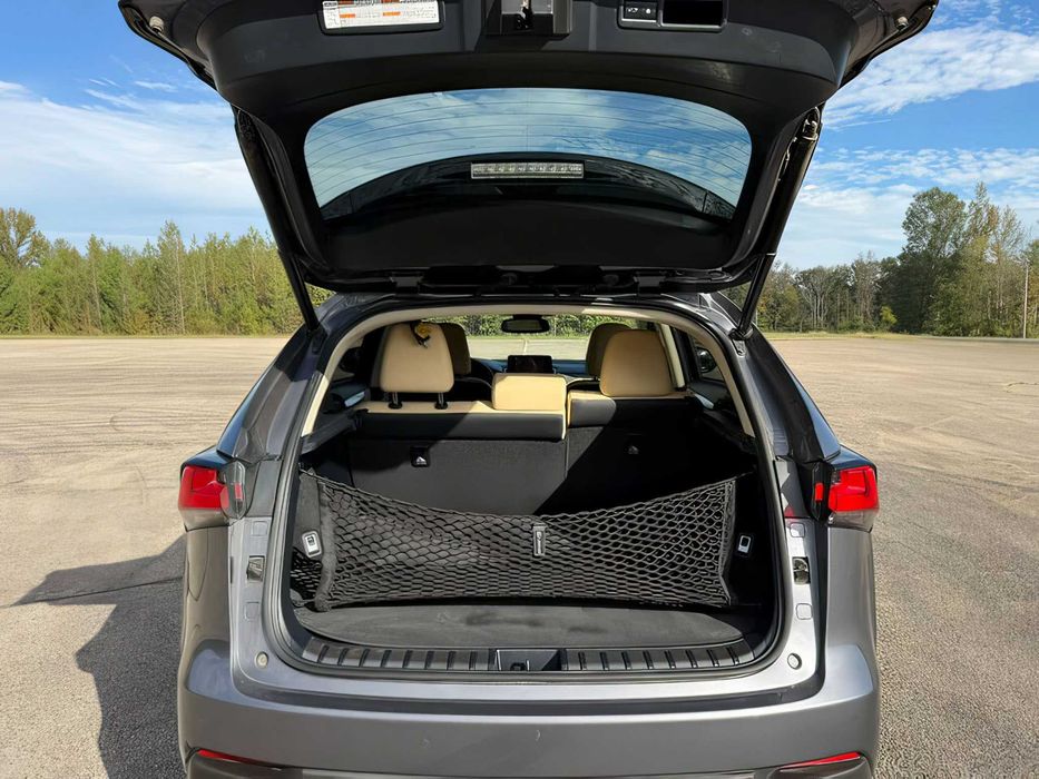 Lexus NX 300      2019