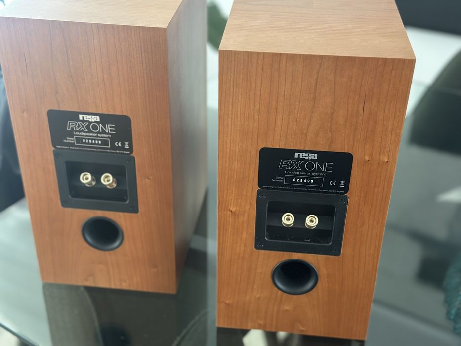 Colunas Rega RX1