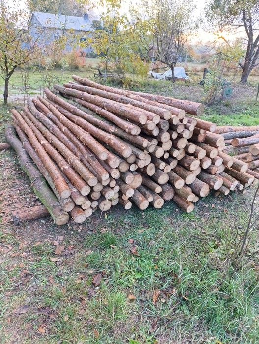 Stemple budowlane drewniane 3,/3,5/4m