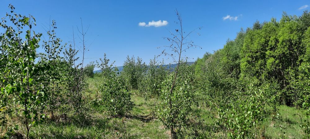 Działka rekreacyjno-widokową 26arów
