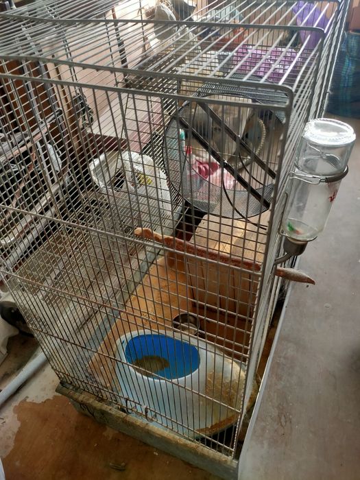 большая клетка для шиншил