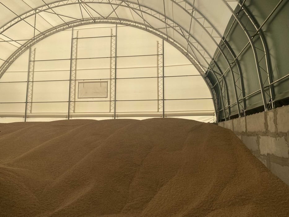 Hala Namiotowa, Hala dla Bydła, Hala na Bale, Ujeżdżalnia