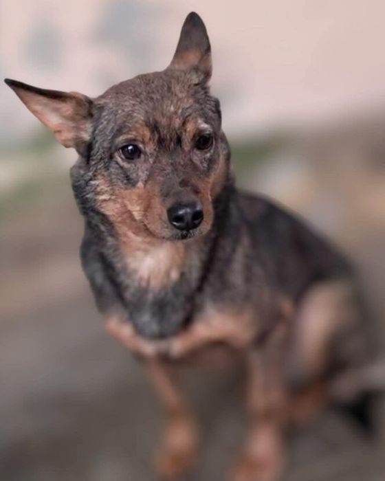 Nina czuje się samotna