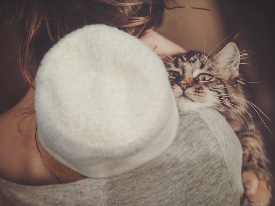 Біла панама весна