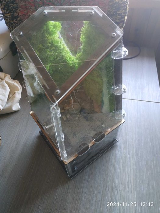 Вертикальна мурахова ферма Flora Plus