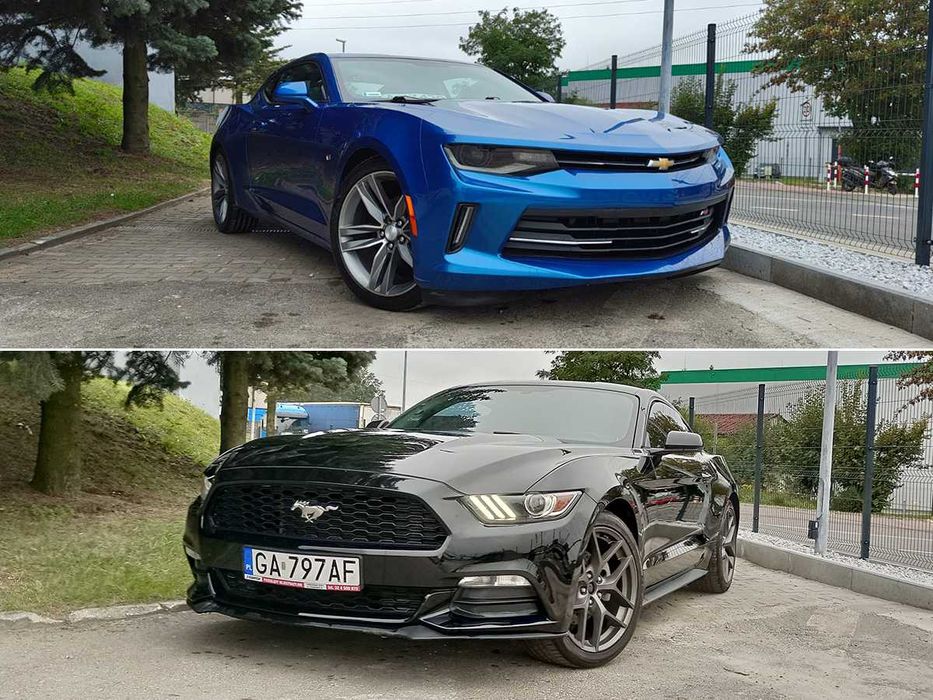 Wynajem samochodów autolawet busów przyczep długoterminowy/krótko