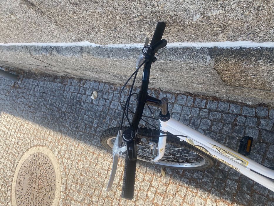 Bicicleta feminina