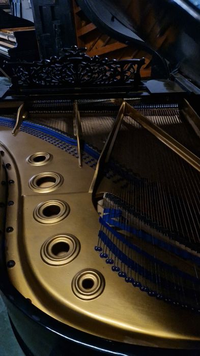 Markowy Fortepian Blüthner 190 Mod. 6.