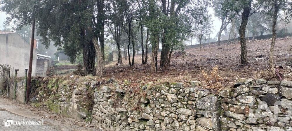 Terreno em Fornelo e Vairão