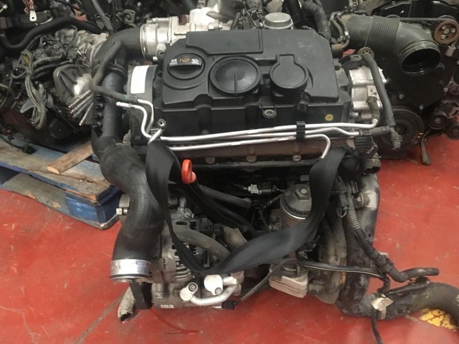 Motor 1.9tdi 105 Cv BLS